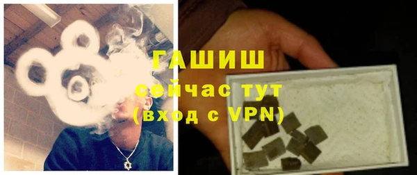 хмурый Новозыбков
