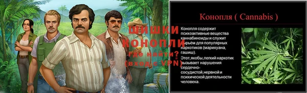 амф Новодвинск