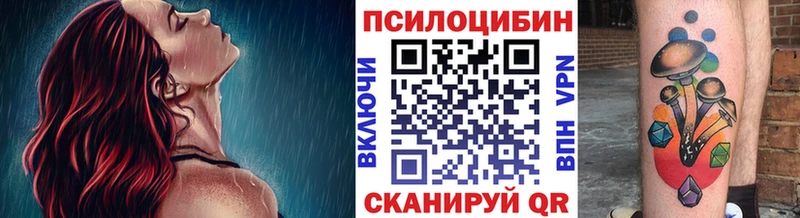 закладка omg Галлюциногенные грибы мицелий Дрезна