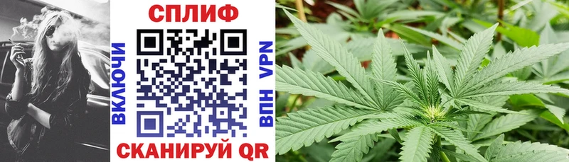Каннабис сатива  Дрезна 